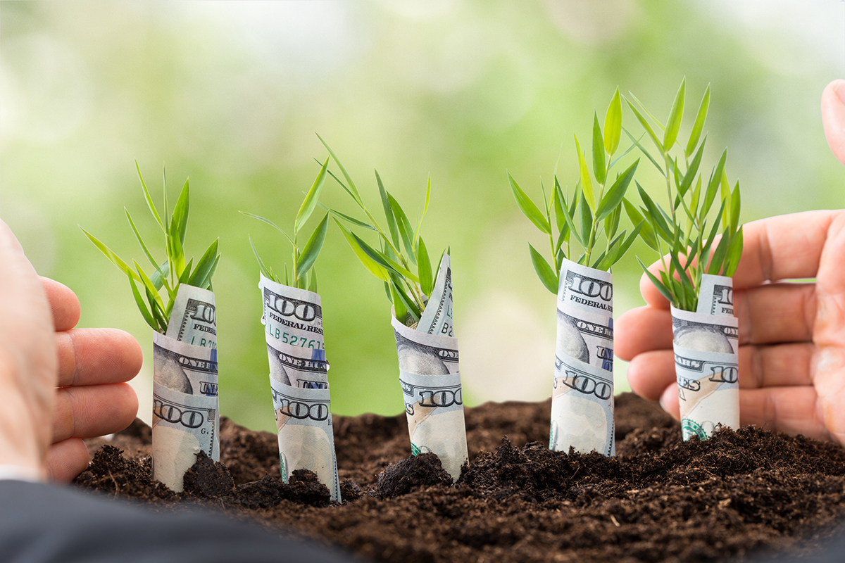 How Tax-Loss Harvesting Can Offset Capital Gains
